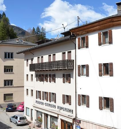 Albergo Cavallino Pieve di Cadore Exteriér fotografie