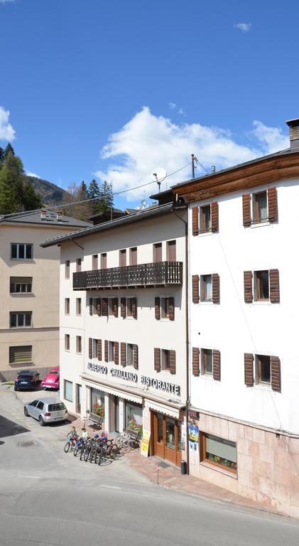 Albergo Cavallino Pieve di Cadore Exteriér fotografie